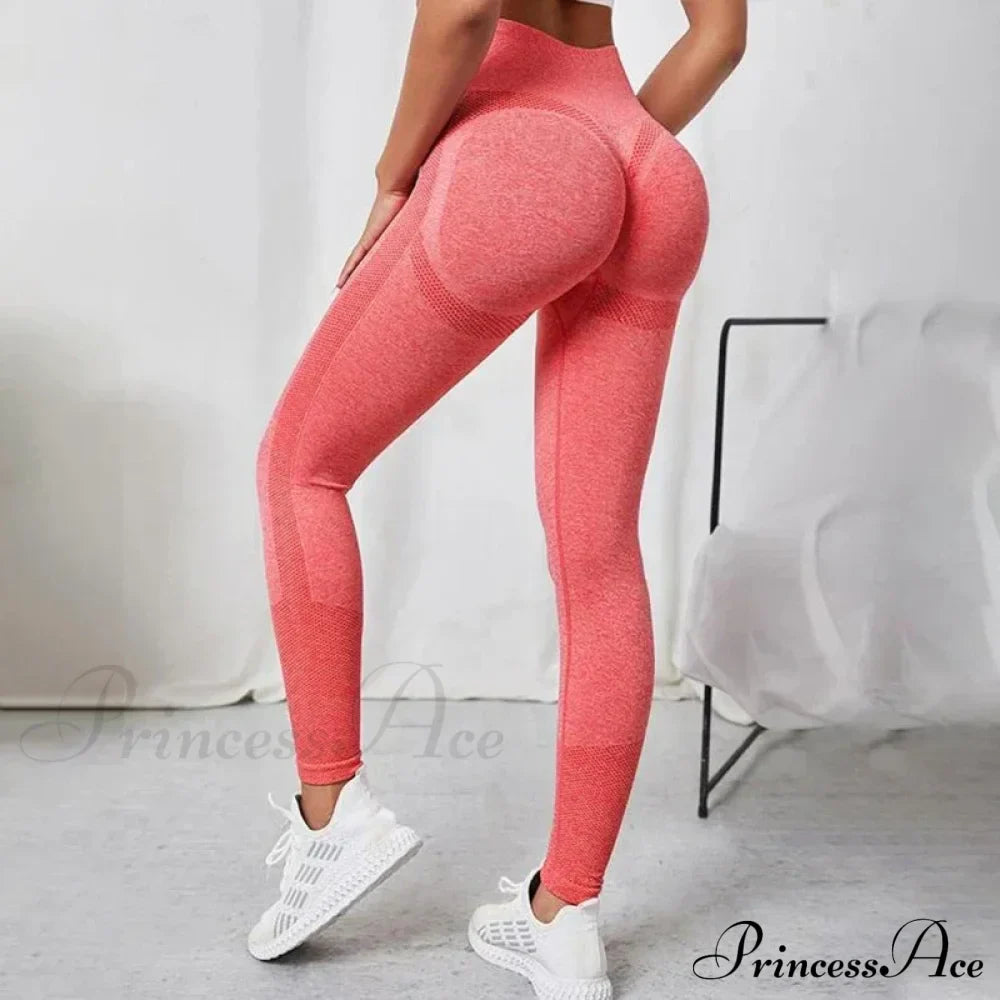 Seamless Workout Legging